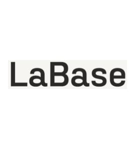labase ajev